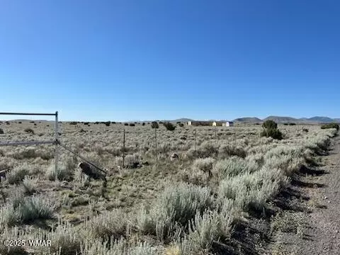 34 Antelope Ave, Concho, AZ 85924 photo 11