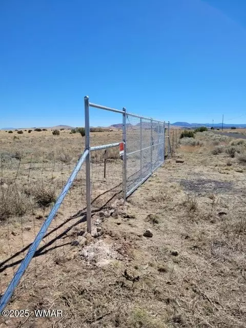 34 Antelope Ave, Concho, AZ 85924 photo 8