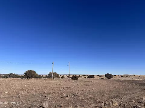 34 Antelope Ave, Concho, AZ 85924 photo 13