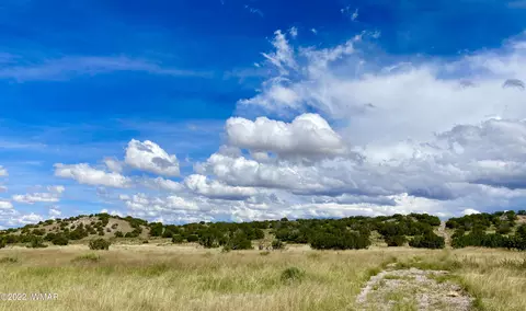 tbd County Rd N6112, Saint Johns, AZ 85936