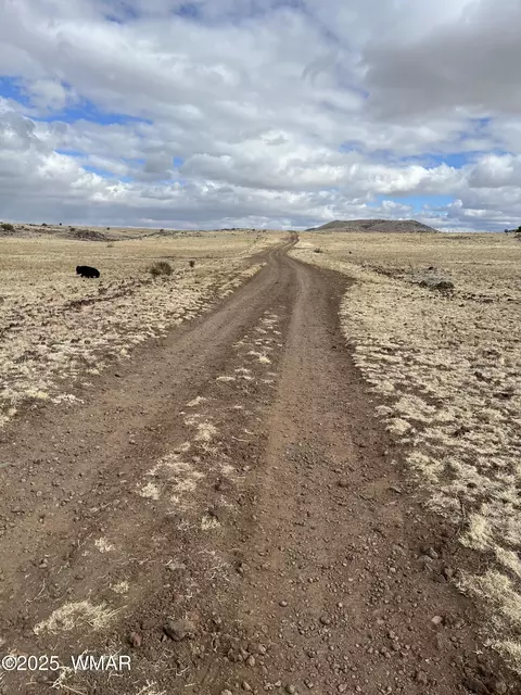 tbd N3540 #LOT 500, Concho, AZ 85924