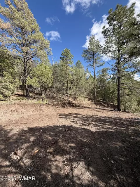 75 County Road 2108, Nutrioso, AZ 85932