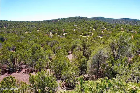 81 County Road 3199, Vernon, AZ 85940