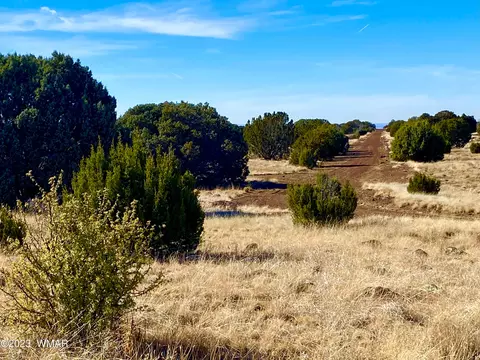 tbd County Road 8305, Concho, AZ 85924