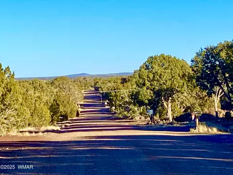 8309 8313 8315 Pinon Dr, Show Low, AZ 85901
