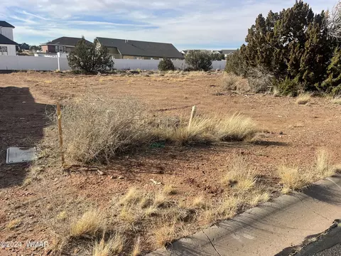 594 S Pioneer Trl, Snowflake, AZ 85937