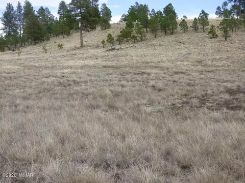 lot17 The Ranch At Alpine, Alpine, AZ 85920