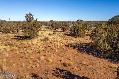 9727 Morgan Ln, Snowflake, AZ 85937 photo 14