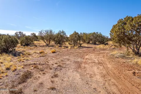 9727 Morgan Ln, Snowflake, AZ 85937 photo 12