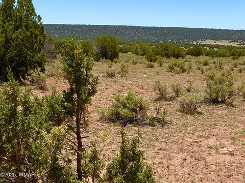 9780 Texas Ln 3989 Acres, Show Low, AZ 85901