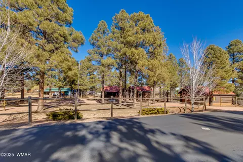 2312 Bison Ranch Trl, Overgaard, AZ 85933
