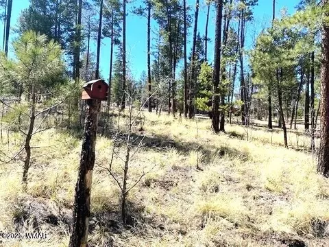 000 County Road 2191, Alpine, AZ 85920
