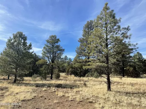 43 County Road 2018, Nutrioso, AZ 85932