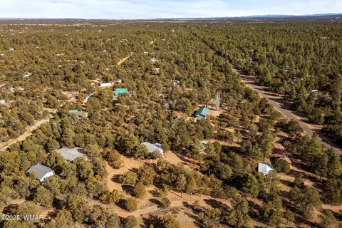3058 Chevelon Rd, Overgaard, AZ 85933 photo 29