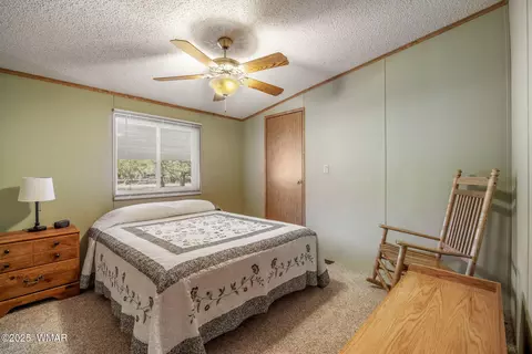 3058 Chevelon Rd, Overgaard, AZ 85933 photo 10