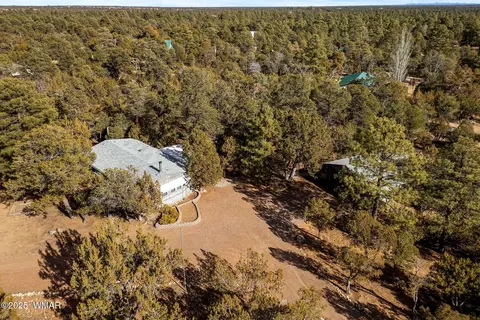 3058 Chevelon Rd, Overgaard, AZ 85933 photo 30