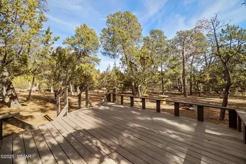 3058 Chevelon Rd, Overgaard, AZ 85933 photo 19