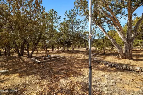 3058 Chevelon Rd, Overgaard, AZ 85933 photo 23