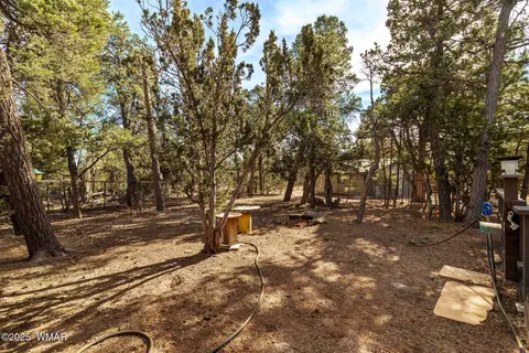 3058 Chevelon Rd, Overgaard, AZ 85933 photo 22
