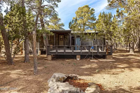 3058 Chevelon Rd, Overgaard, AZ 85933 photo 20