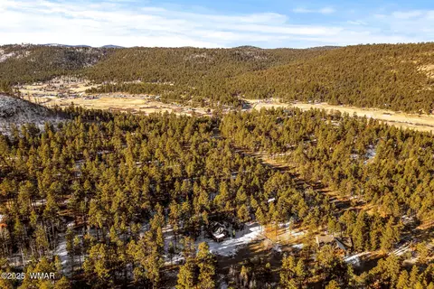 11 Co Rd, Greer, AZ 85927 photo 48