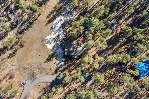 11 Co Rd, Greer, AZ 85927 photo 52