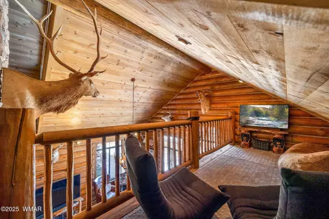 11 Co Rd, Greer, AZ 85927 photo 41
