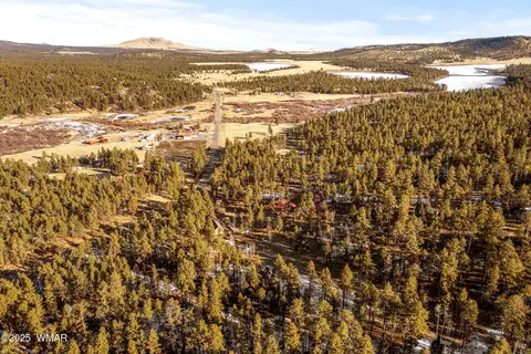 11 Co Rd, Greer, AZ 85927 photo 51