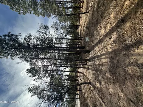 4981 Silver Mountain Dr, Lakeside, AZ 85929