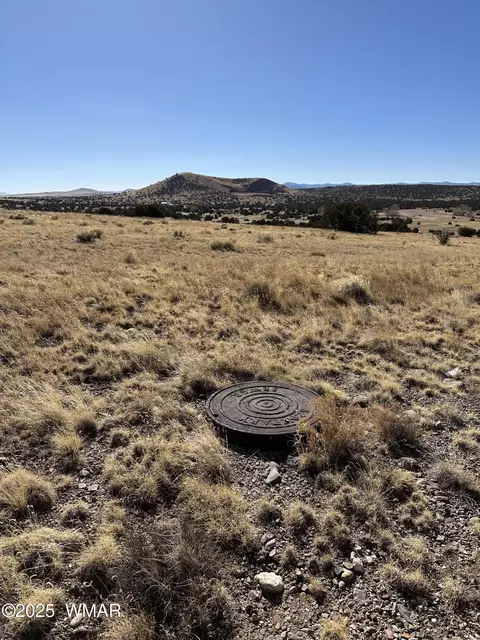 30 County Road 5084, Concho, AZ 85924 photo 6