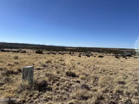 30 County Road 5084, Concho, AZ 85924 photo 5