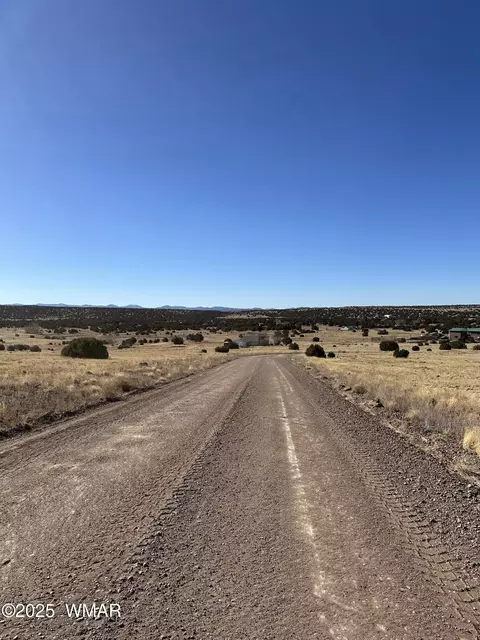 30 County Road 5084, Concho, AZ 85924 photo 8
