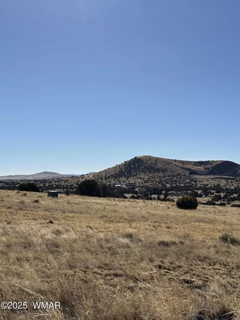 30 County Road 5084, Concho, AZ 85924 photo 7