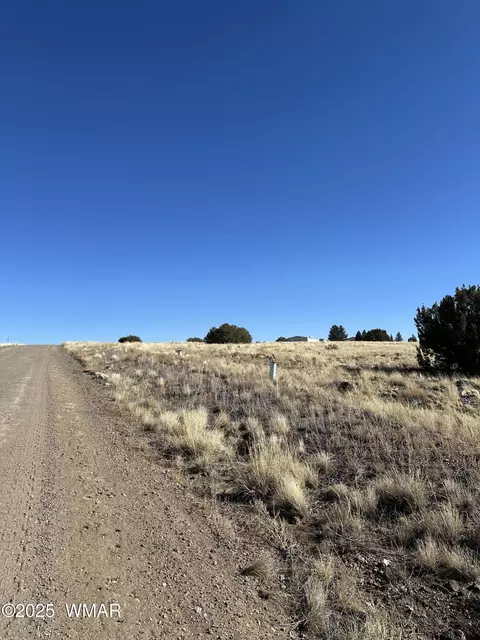 30 County Road 5084, Concho, AZ 85924 photo 4