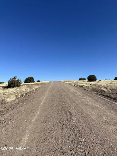 30 County Road 5084, Concho, AZ 85924 photo 2