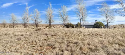 1960 S Blossom Ln, Taylor, AZ 85939
