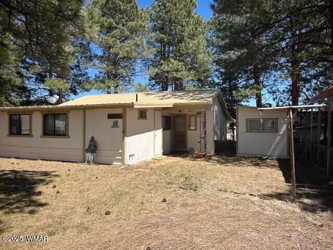 Exterior - 10 County Road 2117, Alpine, AZ 85920 photo 3 of 6
