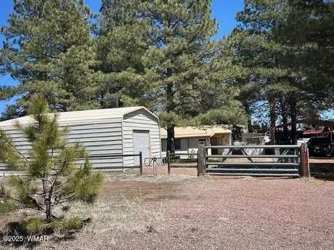 Other - 10 County Road 2117, Alpine, AZ 85920 photo 3 of 7
