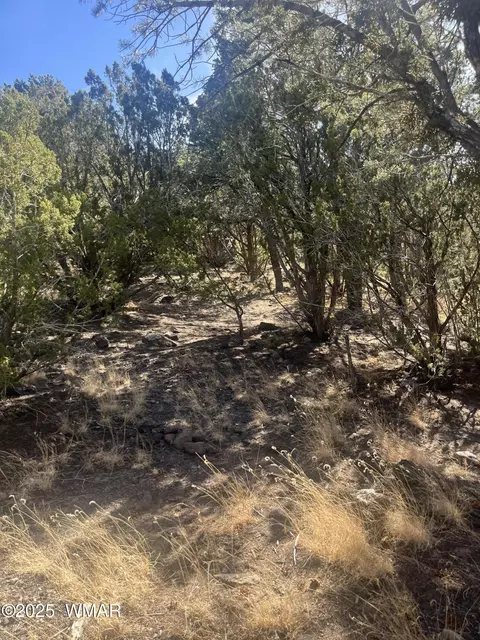 tbd S Jimmy St, Eagar, AZ 85925 photo 5