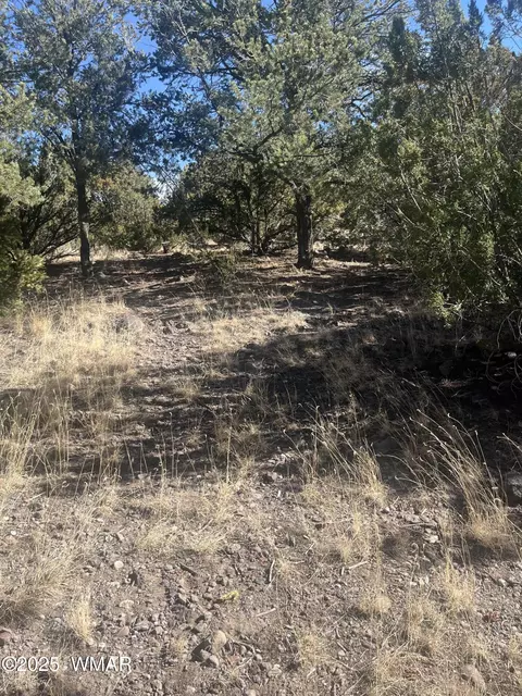 tbd S Jimmy St, Eagar, AZ 85925 photo 3
