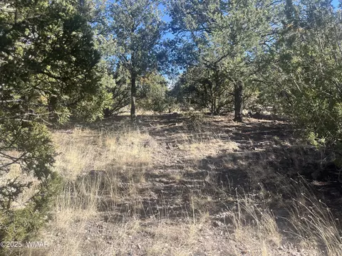 tbd S Jimmy St, Eagar, AZ 85925 photo 2