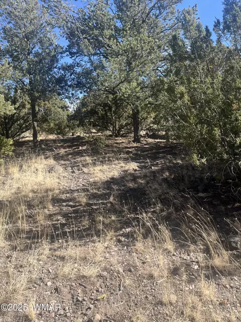 tbd S Jimmy St, Eagar, AZ 85925 photo 4
