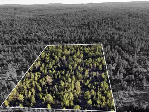 tbd Rim Spur, Lakeside, AZ 85929