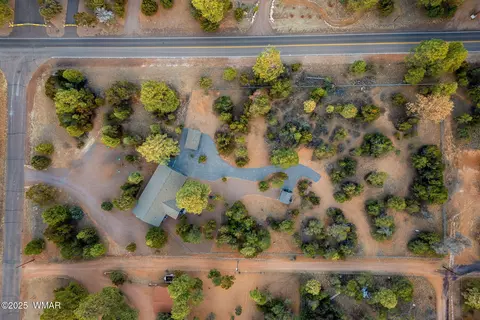 View/Area - 3097 Aspen Rd, Overgaard, AZ 85933 photo 1 of 6