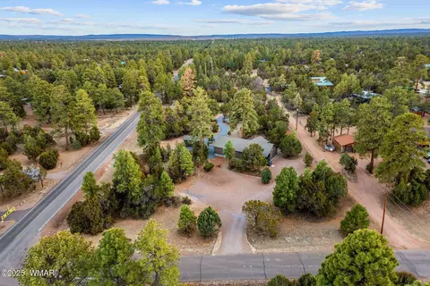 View/Area - 3097 Aspen Rd, Overgaard, AZ 85933 photo 5 of 6