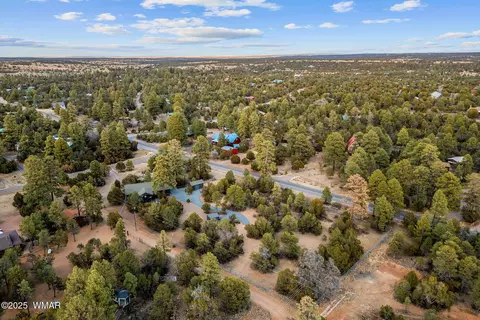 View/Area - 3097 Aspen Rd, Overgaard, AZ 85933 photo 4 of 6