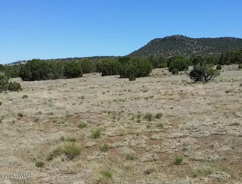 84 Co Rd 3035, Concho, AZ 85924