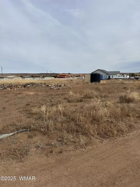 Other - 7704 Open Sky Loop, Taylor, AZ 85939 photo 7 of 10
