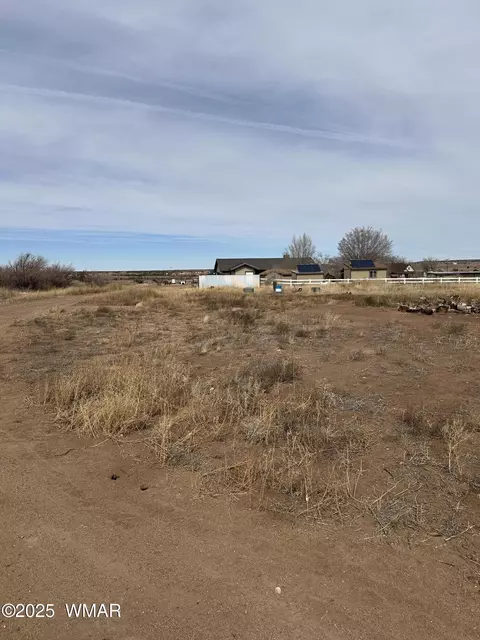 Other - 7704 Open Sky Loop, Taylor, AZ 85939 photo 8 of 10