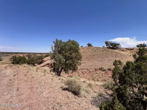 565 County Rd 5270, Concho, AZ 85924 photo 5